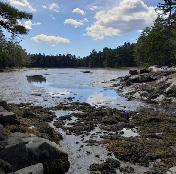 Meet your Posher, Stephanie - Picture 1 of 1